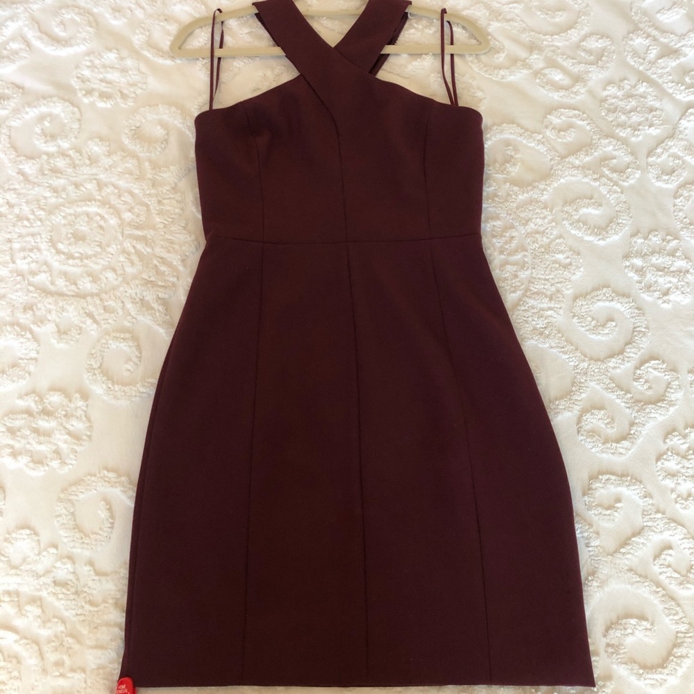 Elizabeth and James Elliot Dress NWT